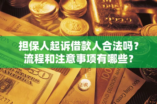 武汉担保人起诉借款人合法吗？流程和注意事项有哪些？