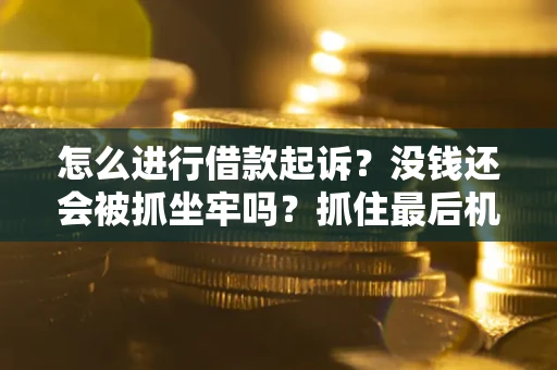 武汉怎么进行借款起诉？没钱还会被抓坐牢吗？抓住最后机会！