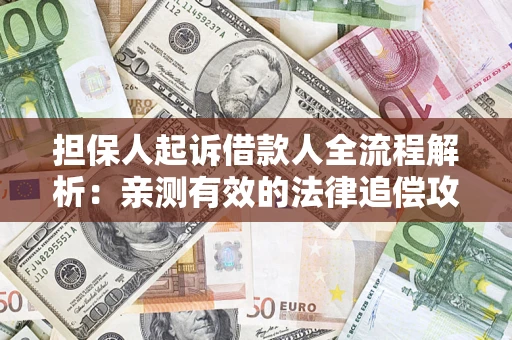武汉担保人起诉借款人全流程解析：亲测有效的法律追偿攻略