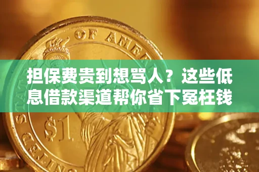 武汉担保费贵到想骂人？这些低息借款渠道帮你省下冤枉钱
