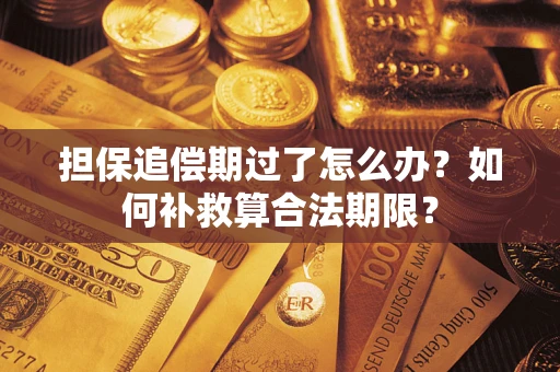 武汉担保追偿期过了怎么办？如何补救算合法期限？