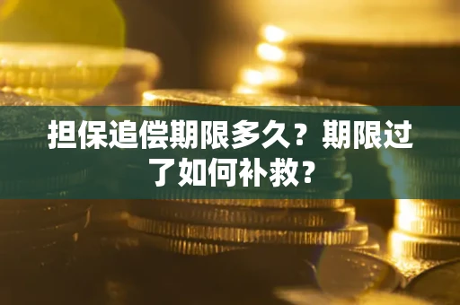 武汉担保追偿期限多久？期限过了如何补救？