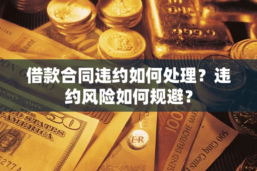 武汉借款合同违约如何处理？违约风险如何规避？