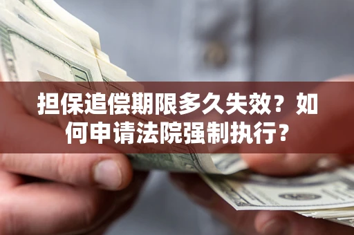 武汉担保追偿期限多久失效？如何申请法院强制执行？