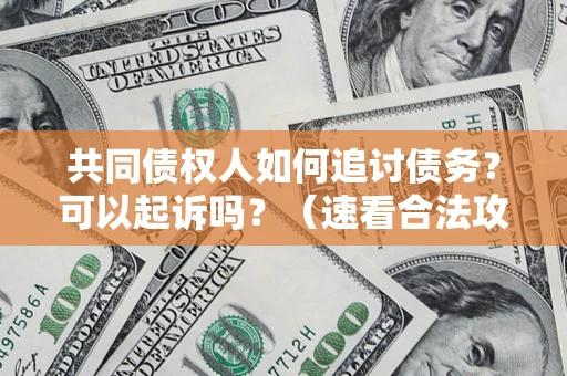 武汉共同债权人如何追讨债务？可以起诉吗？（速看合法攻略）