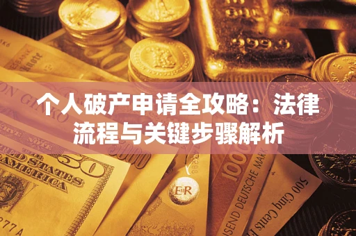 武汉个人破产申请全攻略：法律流程与关键步骤解析
