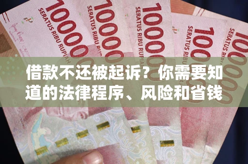 武汉借款不还被起诉？你需要知道的法律程序、风险和省钱技巧