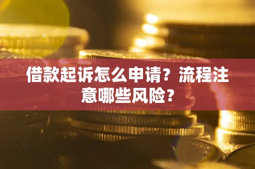 武汉借款起诉怎么申请？流程注意哪些风险？