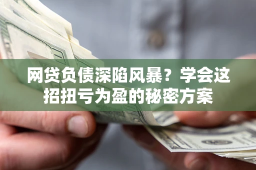 武汉网贷负债深陷风暴？学会这招扭亏为盈的秘密方案